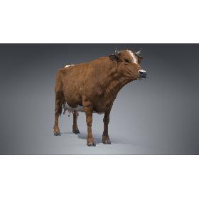 3D Red Milch Cow PBR